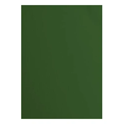 Imagen de Vaessen Creative Florence Cardstock 2928 078A4 Papel para manualidades, 216 g/m², DIN A4, 10 unidades, color verde