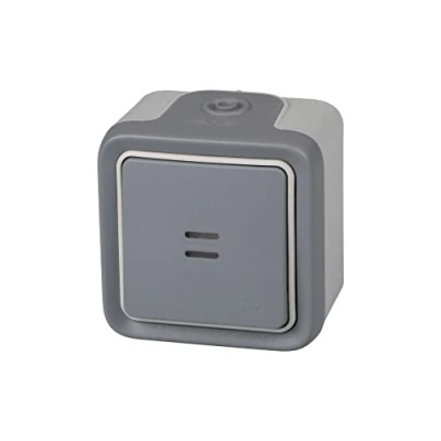Imagen de Legrand, 191513 Plexo Conmutador de pared luminoso, Interruptor estanco superficie, resistente al agua (IP55), Gris