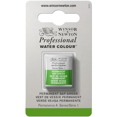 Imagen de Winsor &amp; Newton Acuarela Profesional Pintura de Acuarela, Alta Luminosidad, Resistente a la Luz, Calidad Archivo, 1/2 Godet, Color Verde Vejiga Permanente