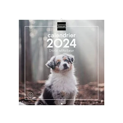 Imagen de Finocam Calendario, con imágenes, para pared, 30 x cm, Notas, de Enero 2024 a Diciembre (12 meses), cachorros, francés