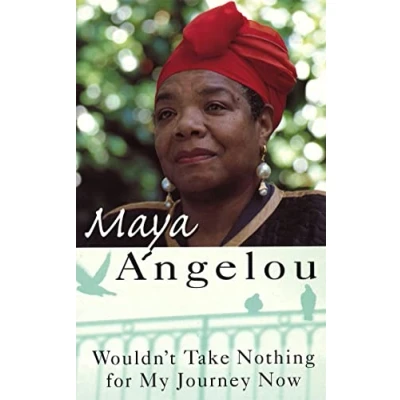 Imagen de Wouldnt Take Nothing For My Journey Now (ebook)