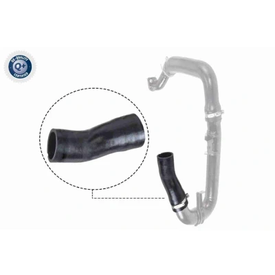 Imagen de VAICO V24 0697 Manguera Turbo Caucho con refuerzo textil Q+, calidad de primer equipo FIAT: Linea