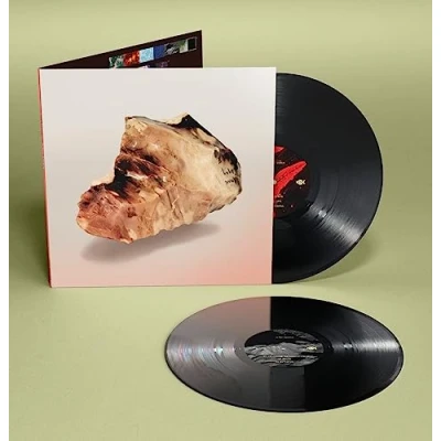 Imagen de In Thy Domain [Vinilo]