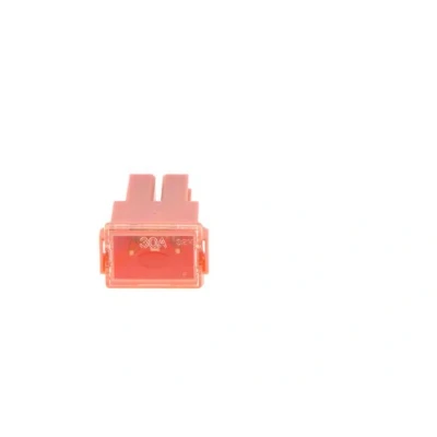 Imagen de BOSCH 1 987 529 063 Fusible 30 32
