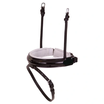 Imagen de BR combined noseband Lacquer round