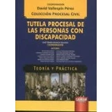 Imagen de Tutela Procesal De Las Personas Con Discapacidad