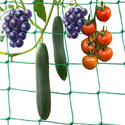 Imagen de BOELLRUNO 5 * 2M Red para Plantas Trepadoras con Gran Anchura de Malla la Cosecha Alto Rendimiento Pepinos Tomates y Otras hortalizas