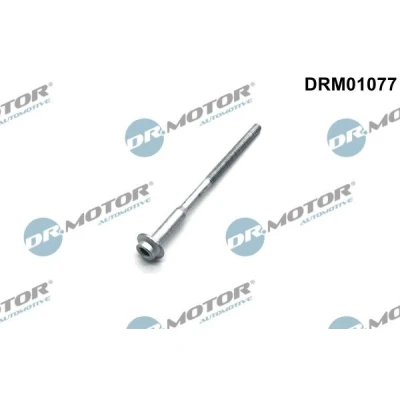 Imagen de DR.MOTOR AUTOMOTIVE DRM01077 Tornillo, soporte inyector SEAT: Ibiza 4 ST, 4, Sportcoupe, VOLKSWAGEN: Polo V Hatchback, SKODA: Fabia 2