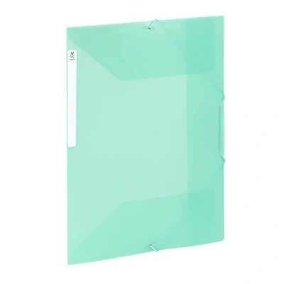 Imagen de Viquel Carpeta de plástico gran capacidad con 3 solapas Caja archivadora A4 etiqueta identificación Verde translúcido