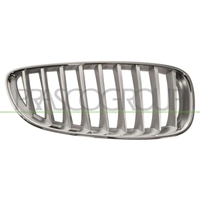Imagen de BLIC 6502 07 0089998P Parrilla Delante, derecha titanio BMW: Z4 Roadster