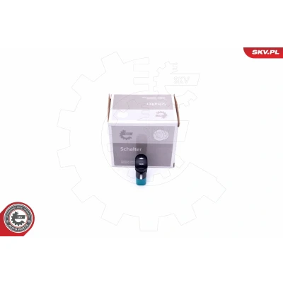 Imagen de ESEN SKV 37SKV362 Interruptor, elevalunas Lado de pasajero FORD: Focus Mk1 Hatchback, Familiar, Sedán