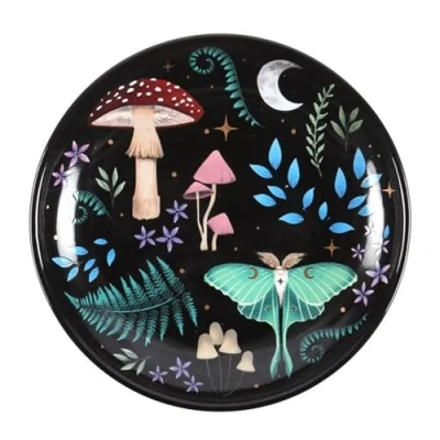 Imagen de Something Different Wholesale Plato de baratija paisaje nocturno: hermoso diseño flora y fauna colorido para almacenar baratijas toque celestial