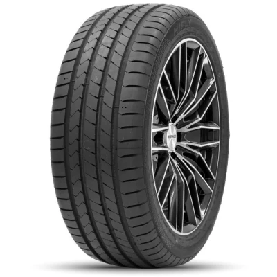 Imagen de Hifly Hf 820 205/55 R16 91V