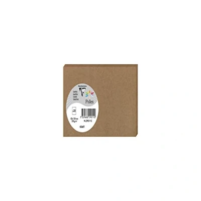 Imagen de Clairefontaine 29011C Un paquet de 25 cartes Pollen 8,2x12,8 cm 210g, Kraft brun