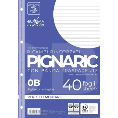 Imagen de Pigna pignaric Repuesto con banda reforzada