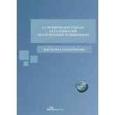 Imagen de La Intervencion Judicial En Formacion De Los Negocios Patrimoniales