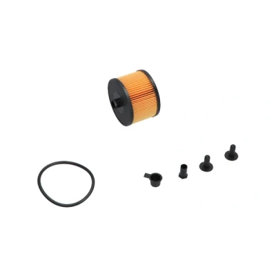 Imagen de KAVO PARTS TF 1983 Filtro Combustible de tubería FORD: Focus 2, 2 Limousine, C Max, PEUGEOT: 307 SW, Hatchback, 407 Berlina