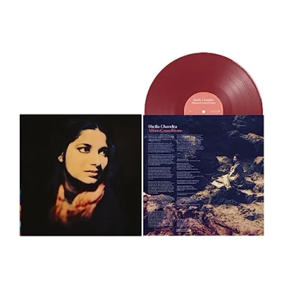 Imagen de Abonecronedrone [Vinilo]