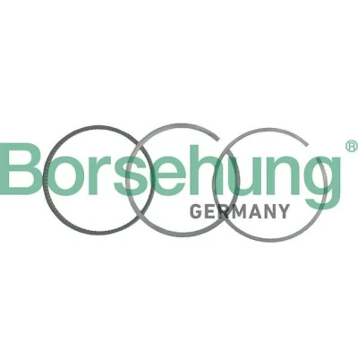 Imagen de Borsehung B19036 Juego de Segmentos Pistón VOLKSWAGEN: GOLF 3, Passat B3/B4 Berlina, 2, AUDI: Coupe B3, A6 C4 Avant, 90 B2, SEAT: TOLEDO 1