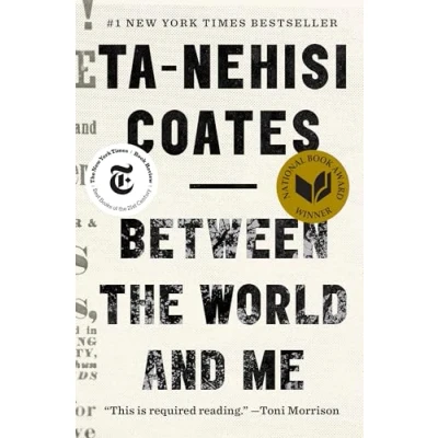 Imagen de Between the world and me