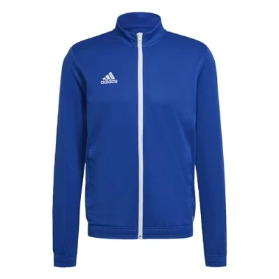 Imagen de adidas Ent22 Tk Jkt, Chaqueta Hombre, Royal Blue, XL Alto