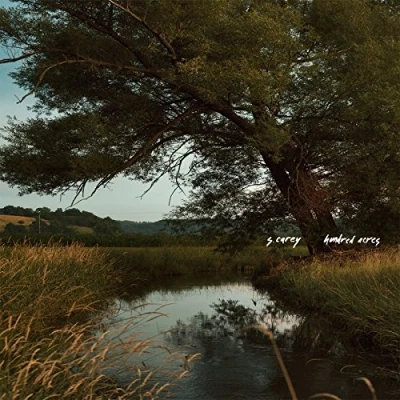 Imagen de Hundred Acres Vinilo Color