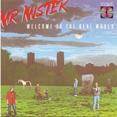 Imagen de Welcome To The Real World