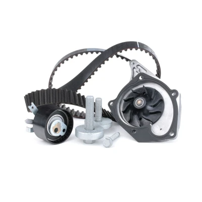 Imagen de INA 530 0197 31 bomba de agua + Kit Distribucion con RENAULT: Kangoo II Be Bop, CLIO 2, MEGANE 2 Stufenheck, NISSAN: Note I norauto,