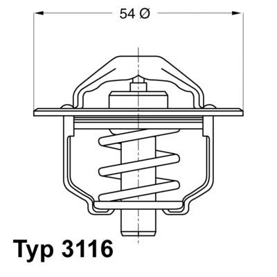 Imagen de Termostato, refrigerante WAHLER 3116.82D