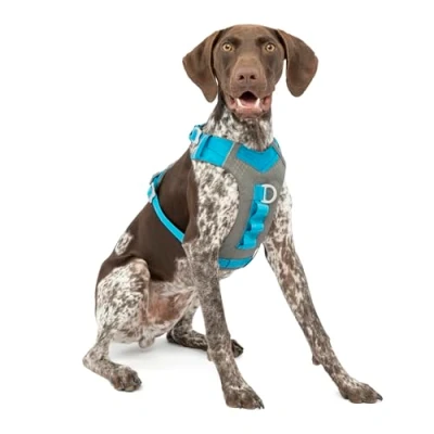 Imagen de Kurgo Journey Air Arnés para Perro, Reflectante Correr Pasear Caminar y Viajes, Ajustable Azul, M