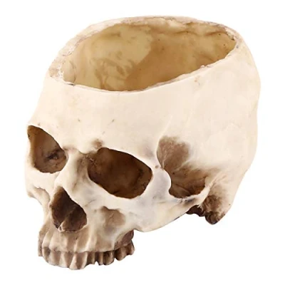 Imagen de aqxreight Resina Calavera en Forma de Cabeza Diseño Maceta Contenedor Decoración Conjunto Accesorios para el Escritorio Oficina casa Bar Club Nocturno