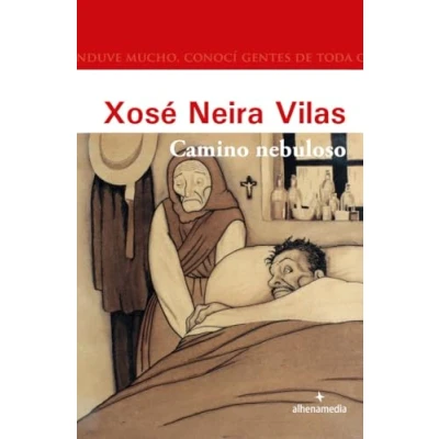 Imagen de Camino nebuloso (Alhena Literaria)