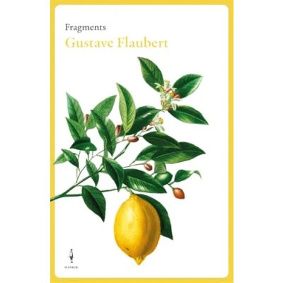 Imagen de Fragments Gustave Flaubert