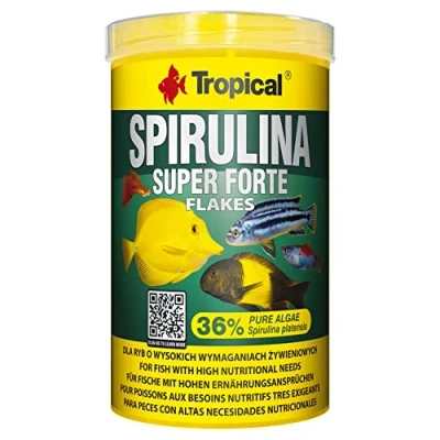 Imagen de Super SPIRULINA Forte 36% 1000ml / 200g alimento para Peces en Forma de Escamas con Altas Necesidades nutricionales