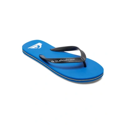 Imagen de Quiksilver Molokai CORE Tongs Sandalias de dedo, Hombre, Talla: 42, Blue 1 Fibra sintética