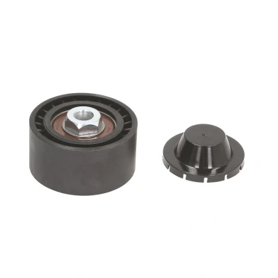 Imagen de BTA E2R5603BTA Polea Tensora RENAULT: CLIO 3