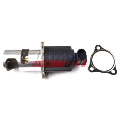 Imagen de Válvula EGR FAST FT60210