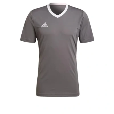 Imagen de adidas Performance Entrada Camiseta deportiva, Hombre, Talla: 3XL, Team grey four