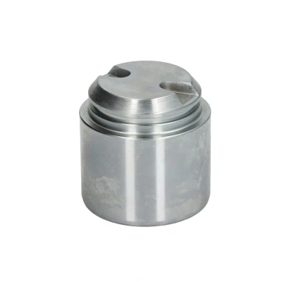 Imagen de AUTOFREN SEINSA D025691 Émbolo, pinza del freno 54 Eje trasero BOSCH