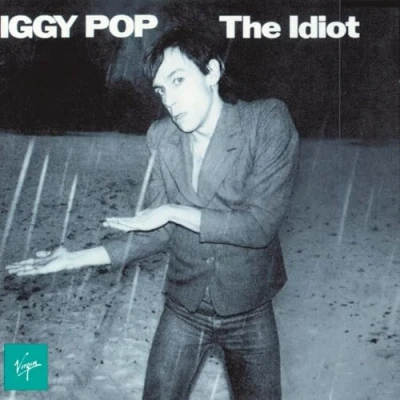 Imagen de the idiot