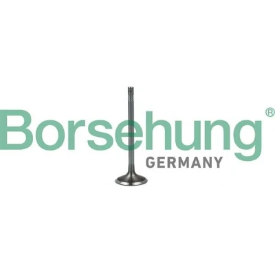 Imagen de Válvula de admisión Borsehung B19023