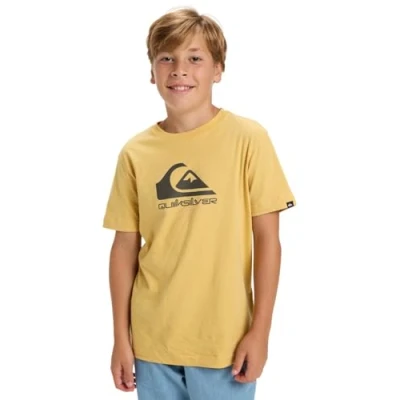 Imagen de Quiksilver Camiseta de Manga Corta EV Comp Logo SS Kids Amarillo 16