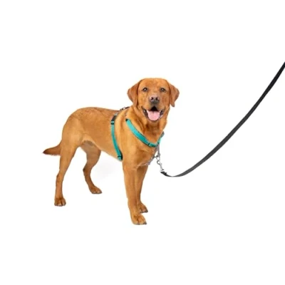 Imagen de PetSafe Arnés para Perros 3 en 1, con cinturón Coche, antitirones, cómodo, reflectores, Agarre el arnés, Tallas XS, S, M, L, Color Negro, Azul, Morado