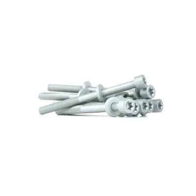 Imagen de REINZ 14 32037 01 Juego de Tornillos Culata Torx interior OPEL: Kadett E CC, Astra F Berlina, DAEWOO: Leganza