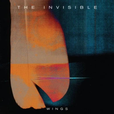 Imagen de Wings (vinilo)