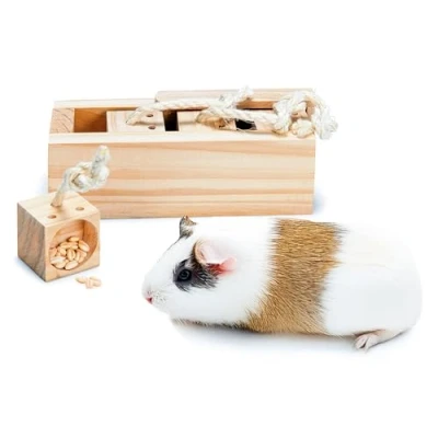 Imagen de Karlie K&amp;F Brain Train Cube Caja con 4 Ladrillos para Co 120 ml