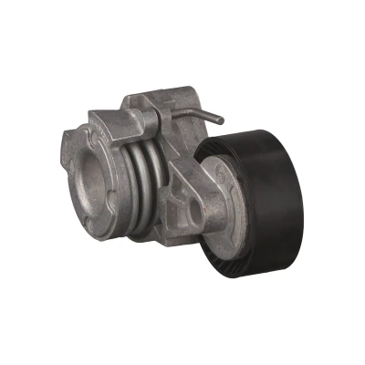 Imagen de FEBI BILSTEIN 21630 Tensor de Correa BMW: X5