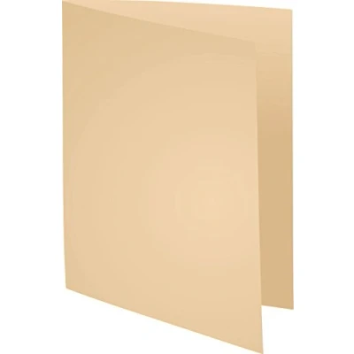 Imagen de Exacompta 421002E Lote de 100 Subcarpetas Forever® 180 con Portada Más Estrecha, Color Crema