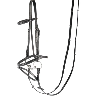 Imagen de Harry&#039;s Horse Bridle Bronze