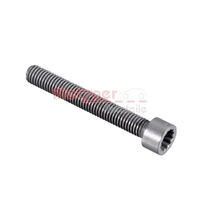 Imagen de METZGER 0873058 Tornillo, soporte inyector VOLKSWAGEN: Crafter 30 50 Furgón